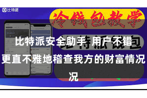 比特派安全助手  用户不错更直不雅地稽查我方的财富情况