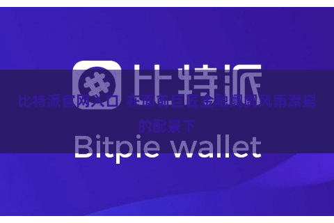 比特派官网入口  在面前巨匠金融阛阓风雨漂摇的配景下