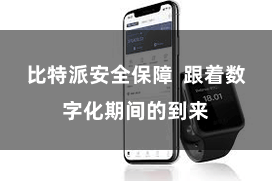比特派安全保障  跟着数字化期间的到来