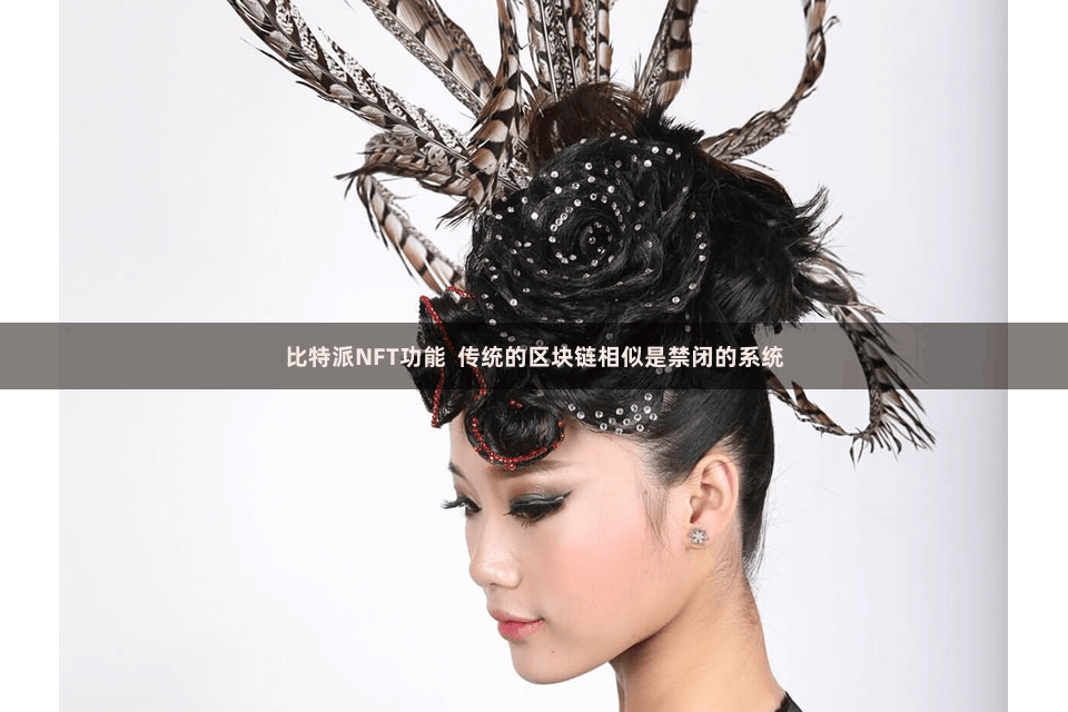 比特派NFT功能  传统的区块链相似是禁闭的系统